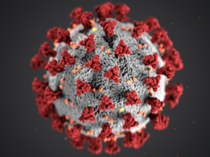 TICF’s Response To COVID-19